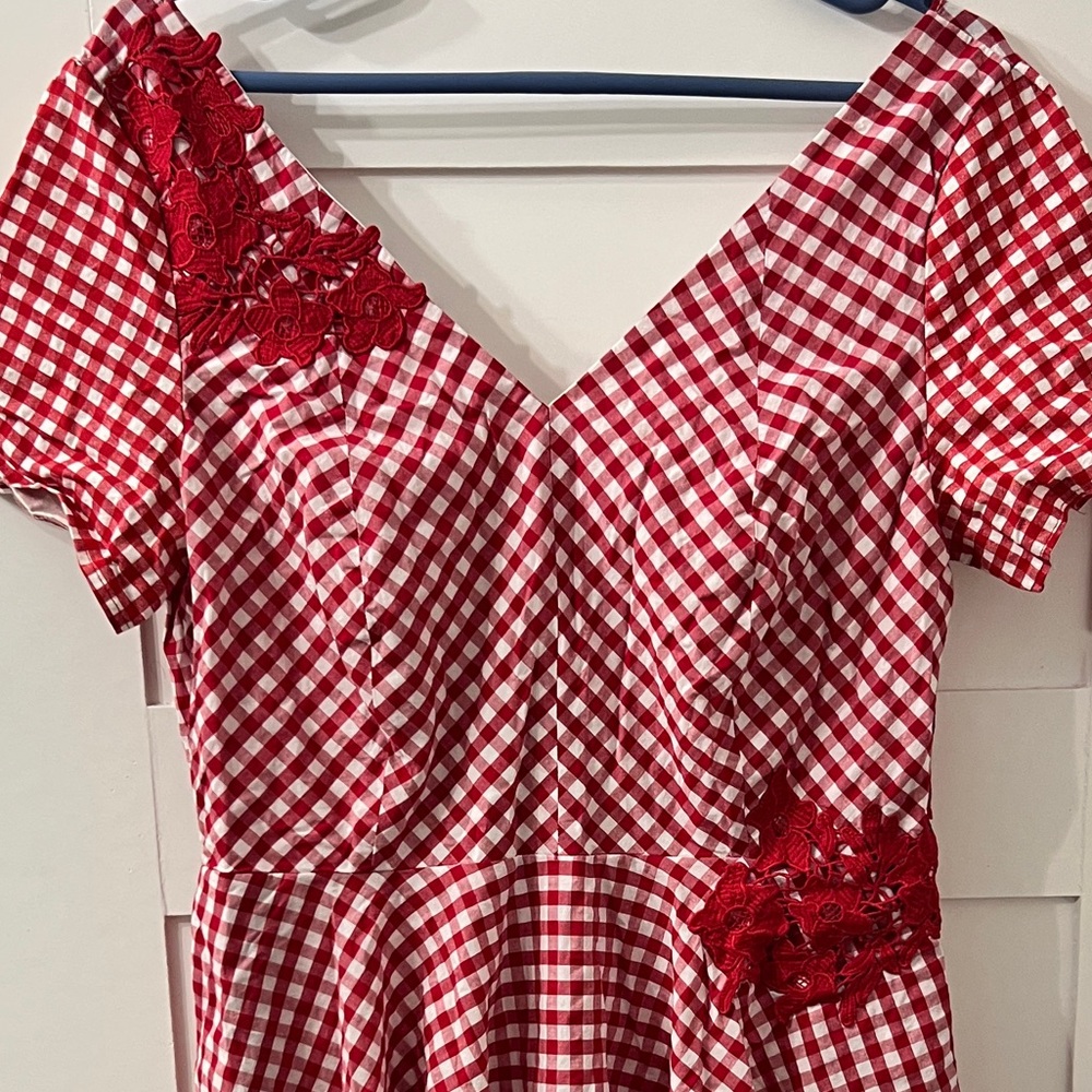 Red Gingham Dress with Lace Accents - Picture 2 of 5